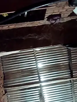 Hot ree64 online show from 03-27-26, 05:23