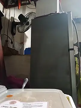 Snapshot of Wildcam21 chatting on 02-24-26, 09:51 Wildcam21 online show from 02-24-26, 09:51