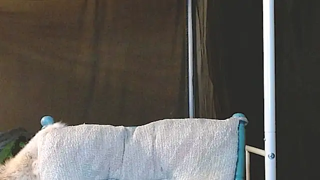 cguffey2284 online show from 03-20-26, 10:03