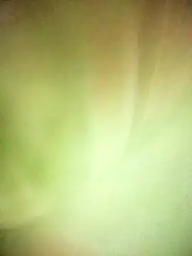 Snapshot of BIG_QWEEN_NO1 chatting on 02-20-26, 06:37 BIG QWEEN NO1 online show from 02-20-26, 06:37