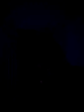 Snapshot of Telugucouple69 chatting on 02-15-26, 10:17 Telugucouple69 online show from 02-15-26, 10:17