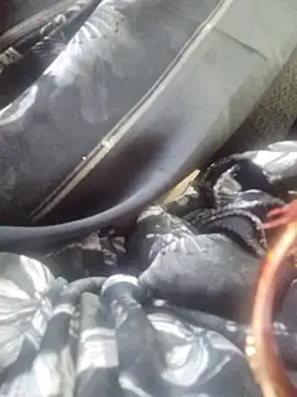 SexybeboX online show from 03-19-26, 05:44