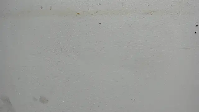 Kitty f00x online show from 07-15-26, 12:54