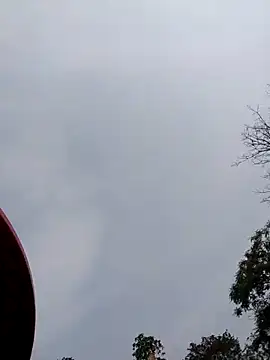 Linka998 online show from 04-05-26, 07:49