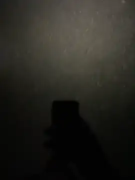 Snapshot of stallone_italiano_62 chatting on 02-11-26, 08:47 stallone italiano 62 online show from 02-11-26, 08:47