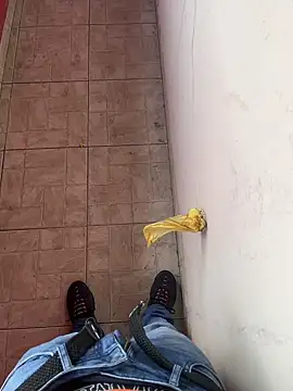 novinhogozando online show from 02-19-26, 07:43