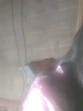 Snapshot of Yang-my- chatting on 02-13-26, 03:08 Yang-my- online show from 02-13-26, 03:08