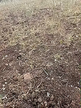 yusu 3 online show from 02-23-26, 11:40