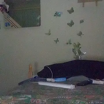 Porcellini2269 online show from 04-16-26, 09:26