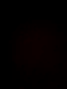 plump-bums online show from 02-16-26, 12:56