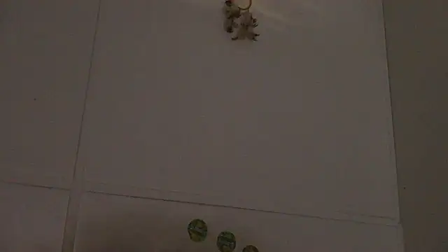 Snapshot of pbilip7787 chatting on 02-28-26, 10:00 pbilip7787 online show from 02-28-26, 10:00