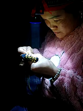 Snapshot of nelina_12345 chatting on 02-19-26, 01:51 nelina 12345 online show from 02-19-26, 01:51