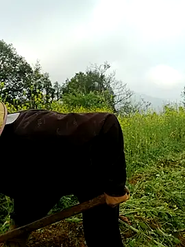 nelina 12345 online show from 03-26-26, 01:44