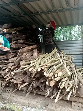 nelina 12345 online show from 04-15-26, 12:17