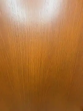 SANA-ch online show from 03-29-26, 01:44