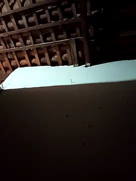 Snapshot of mykasantos20 chatting on 02-14-26, 04:53 mykasantos20 online show from 02-14-26, 04:53