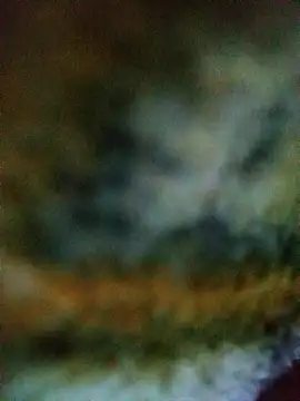 Snapshot of Avinh_09 chatting on 02-15-26, 04:31 Avinh 09 online show from 02-15-26, 04:31