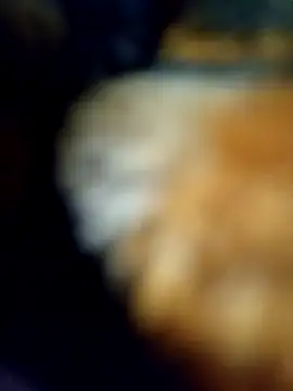 Snapshot of Avinh_09 chatting on 02-15-26, 05:20 Avinh 09 online show from 02-15-26, 05:20