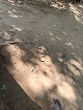 Locky kamani online show from 02-16-26, 08:21