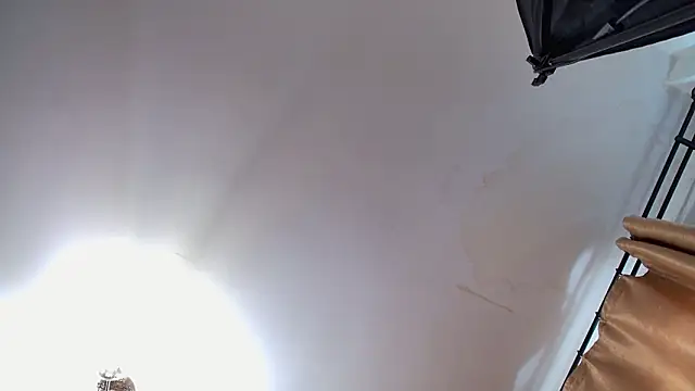 VioletVIP online show from 03-12-26, 12:33