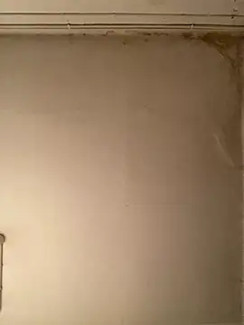 Snapshot of _Sabah_ chatting on 02-23-26, 10:07 Sabah online show from 02-23-26, 10:07