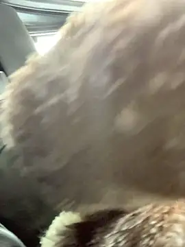 Emily-Fire online show from 03-05-26, 07:21