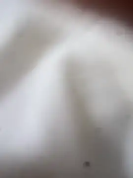 Snapshot of Jaybraconect chatting on 02-21-26, 05:08 Jaybraconect online show from 02-21-26, 05:08