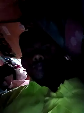 India-Sajan online show from 03-21-26, 06:51