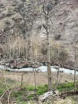 TurkeyMen online show from 04-08-26, 09:09