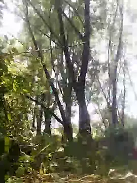 Snapshot of marti_8 chatting on 05-23-26, 12:31 marti 8 online show from 05-23-26, 12:31
