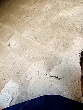 negopreto  online show from 02-24-26, 07:34