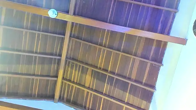 Snapshot of TonyPetrovjs chatting on 02-26-26, 05:50 TonyPetrovjs online show from 02-26-26, 05:50