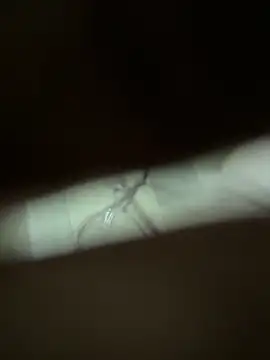 neekosam12 online show from 03-23-26, 05:06