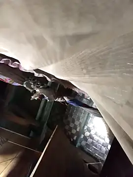 Snapshot of Big-all012 chatting on 02-23-26, 09:50 Big-all012 online show from 02-23-26, 09:50