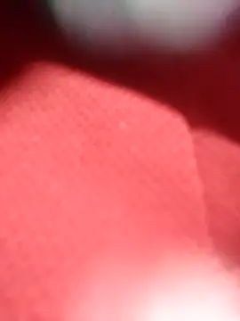 jackkk0011 online show from 02-26-26, 12:48