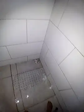 casadosafadoooo online show from 03-11-26, 08:26