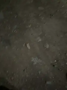 Snapshot of parth73637 chatting on 02-23-26, 02:47 parth73637 online show from 02-23-26, 02:47