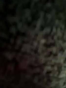 jesus-31 online show from 04-02-26, 12:41