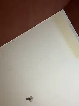 Snapshot of MoonGoddess424 chatting on 02-24-26, 04:10 MoonGoddess424 online show from 02-24-26, 04:10