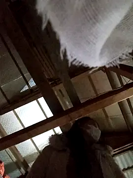 Heylen hooo online show from 03-16-26, 02:32