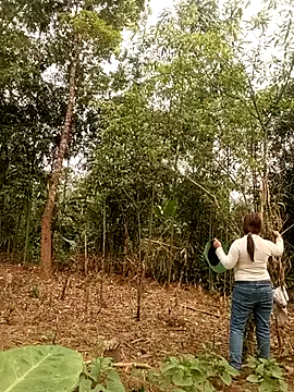 lyly sexx online show from 03-28-26, 01:05