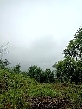 lyly sexx online show from 04-02-26, 02:20