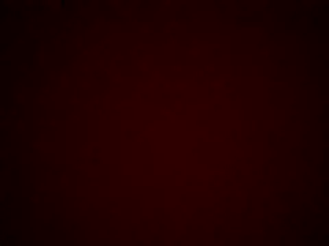 Snapshot of kiraa-007 chatting on 05-28-26, 03:53 kiraa-007 online show from 05-28-26, 03:53