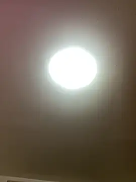 KarmaFoxx online show from 03-26-26, 03:01