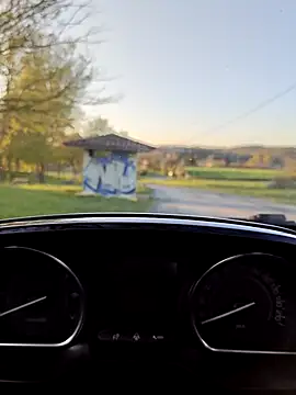 lui8181 online show from 03-23-26, 05:39