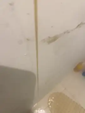 bichalouca online show from 03-31-26, 09:15