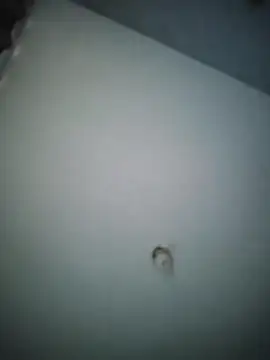 misteriosocam40 online show from 04-09-26, 05:40