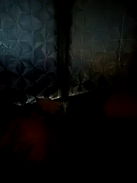 dualeo11 online show from 03-30-26, 11:06