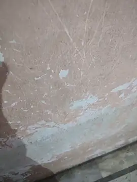 Tamillaxmi12 online show from 04-16-26, 12:44