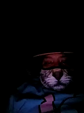 Charlygunslove online show from 03-03-26, 01:34